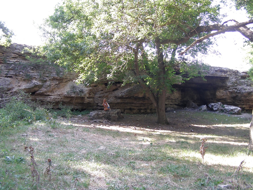 Camino en el bosque sin bragas
 #29412247