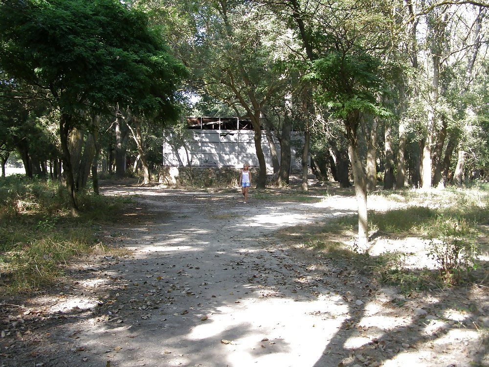 パンティなしで森を歩く
 #29412912