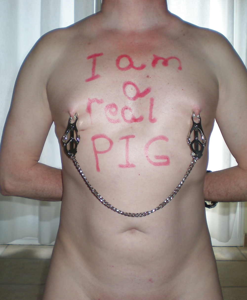 Real pig for Master-Mistress #38037535