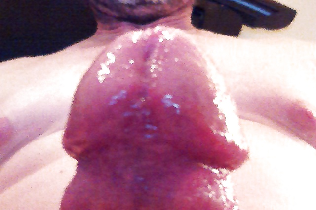 Polla lubricada
 #39570708