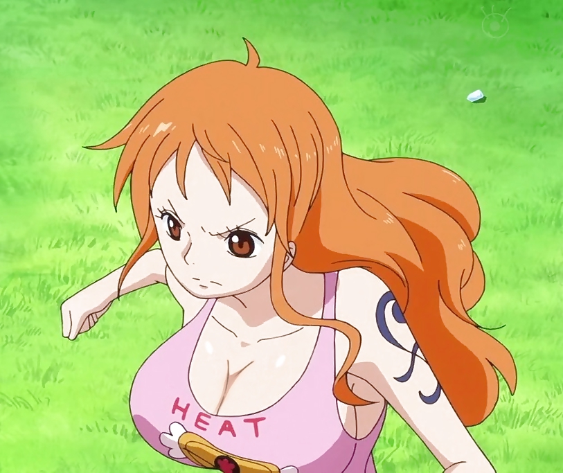 One Piece - Nami la salope ! Nami the slut #23554861