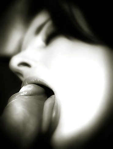 El sabor del cielo
 #36354842