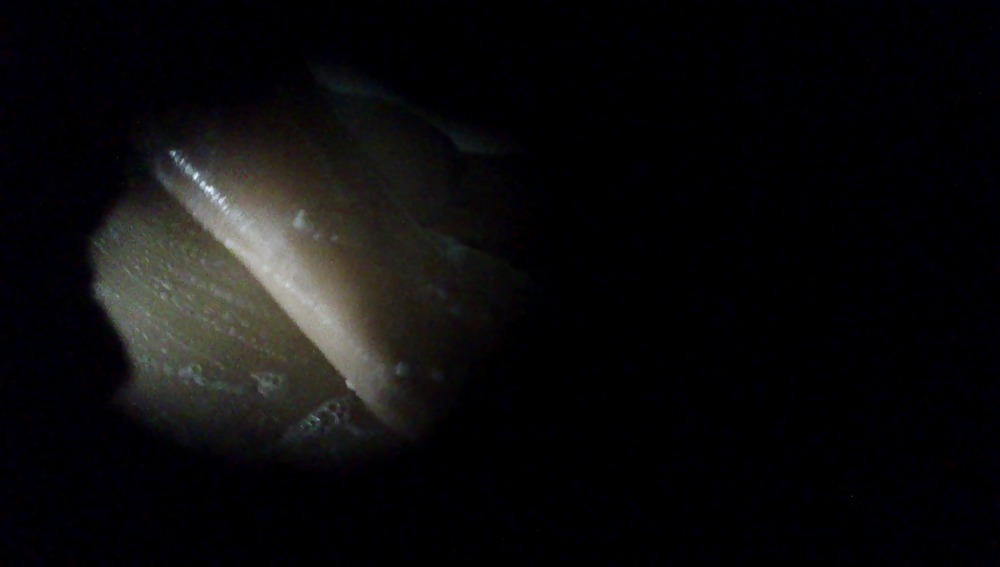 Meine Neue Bilder D Vid Kippe Upload #35438128