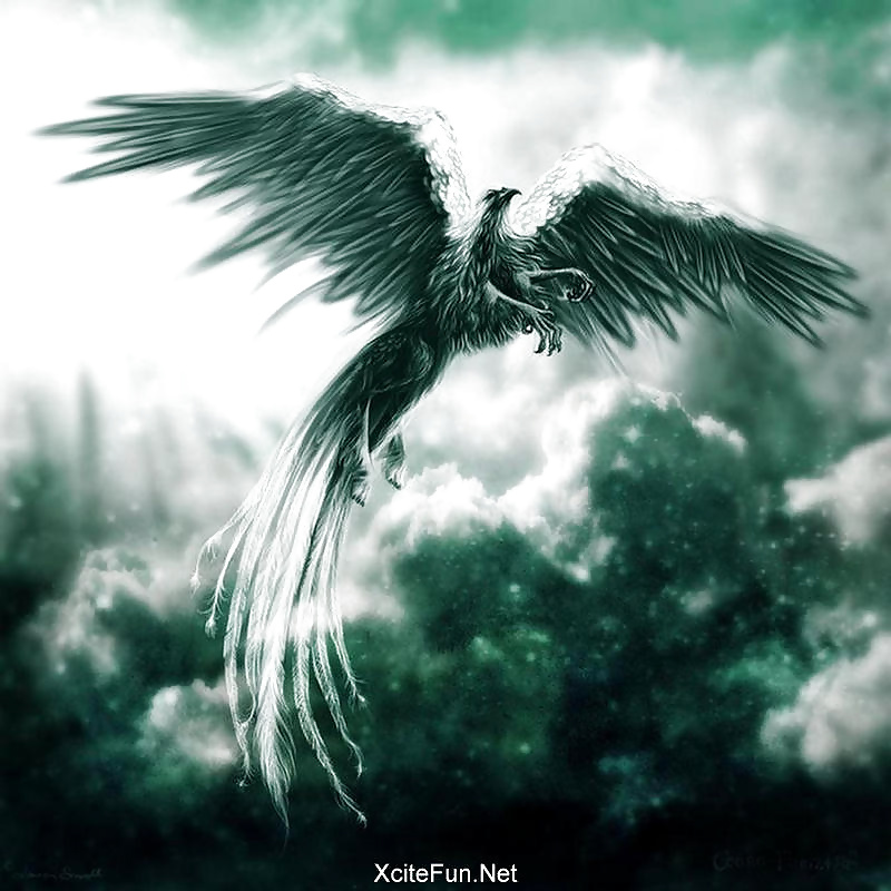 A Basic Truth #30815078