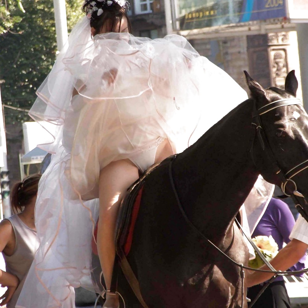 Boda voyeur
 #26400882