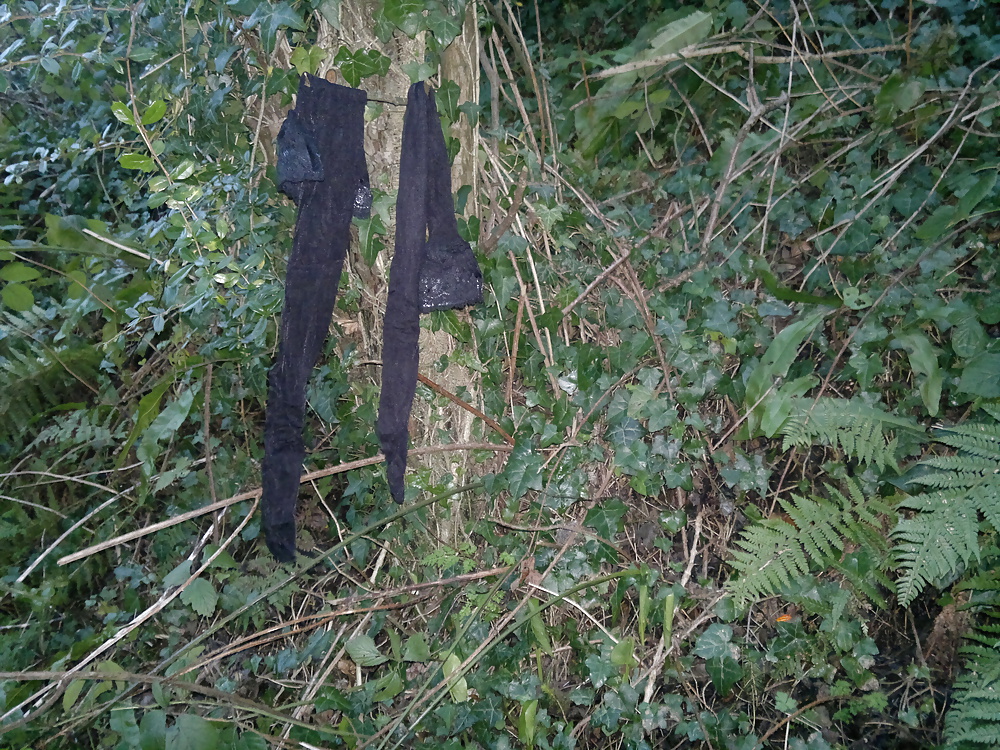 Stockings i found in the woods. #35565964
