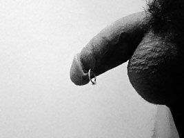 My Cock Piercing 