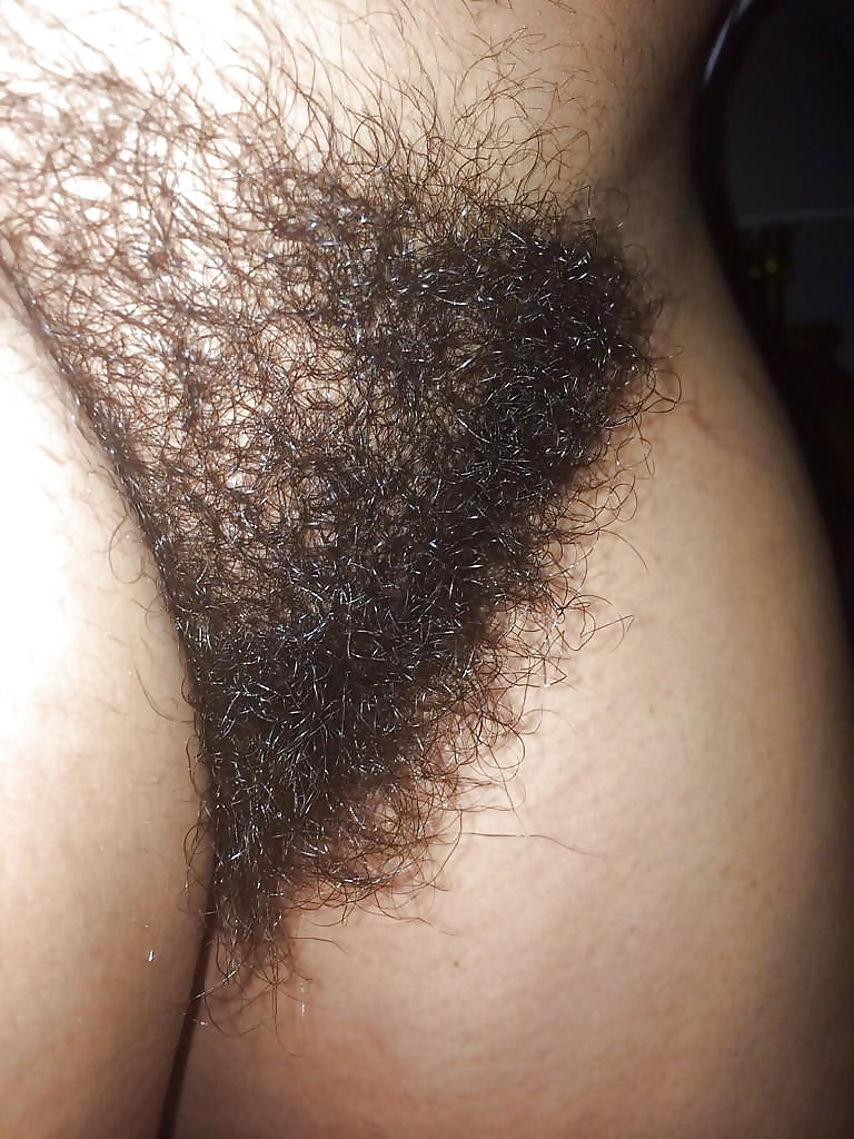 HAIRY ASS PUSSY I LIKE VOL.18 #32934382