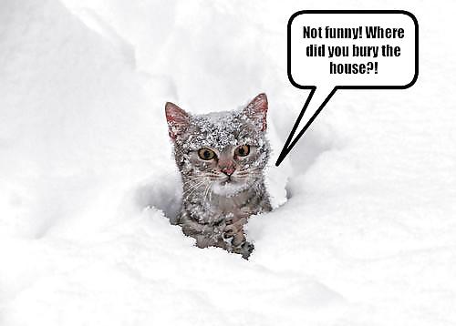 Have a chuckle 4 #35245329