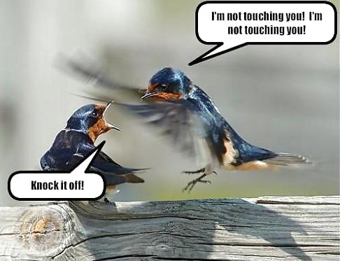Have a chuckle 4 #35245336