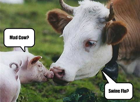 Have a chuckle 4 #35245339