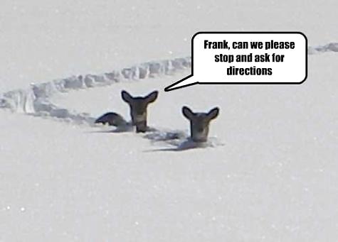 Have a chuckle 4 #35245340