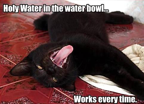Have a chuckle 4 #35245344