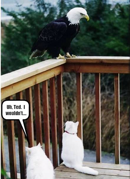Have a chuckle 4 #35245352