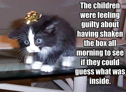 Have a chuckle 4 #35245356