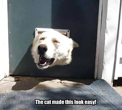 Have a chuckle 4 #35245357