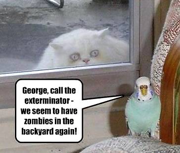 Have a chuckle 4 #35245368