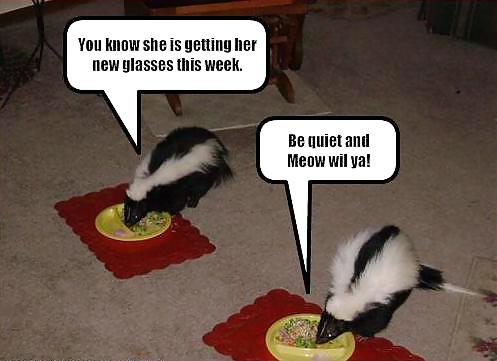 Have a chuckle 4 #35245374