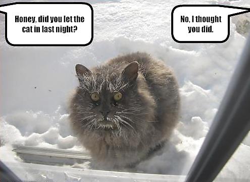 Have a chuckle 4 #35245381