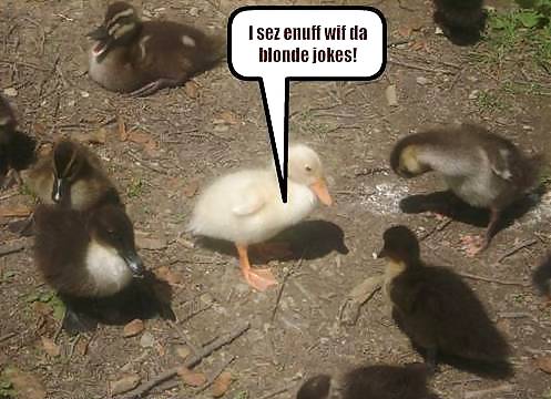 Have a chuckle 4 #35245385