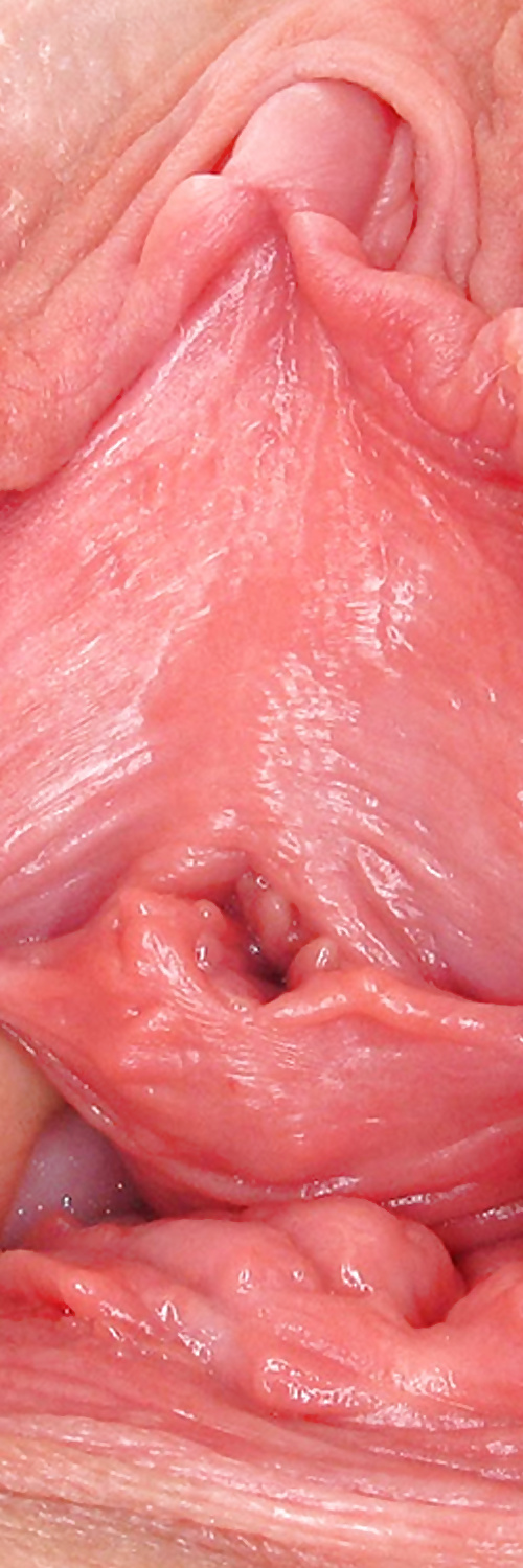 Süße Leckere Pussys Upclose #35498945