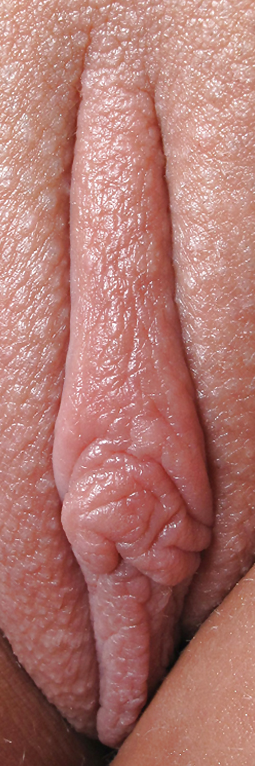 Süße Leckere Pussys Upclose #35498948