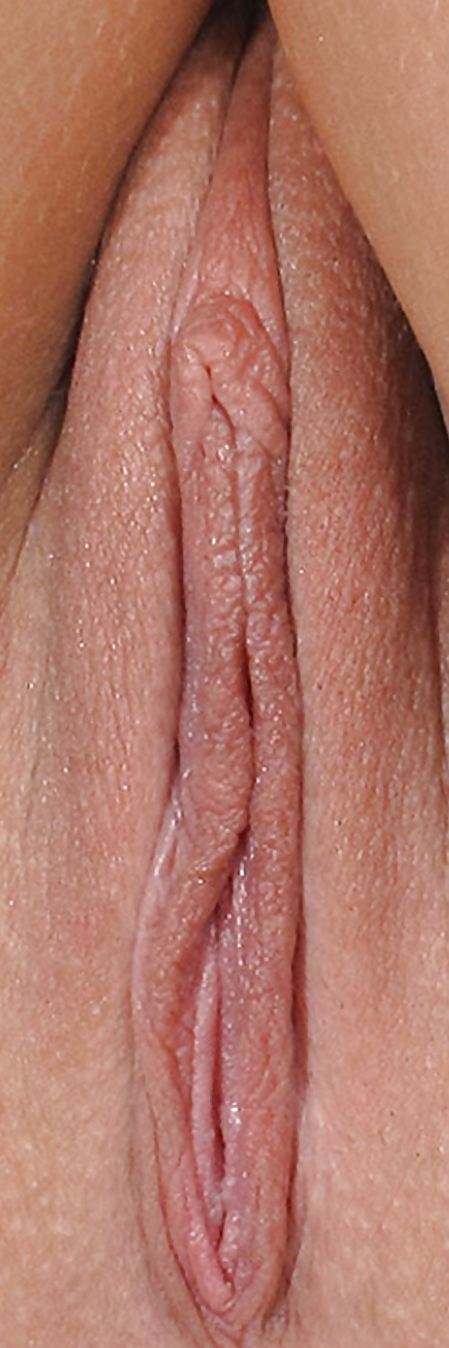 Süße Leckere Pussys Upclose #35498950