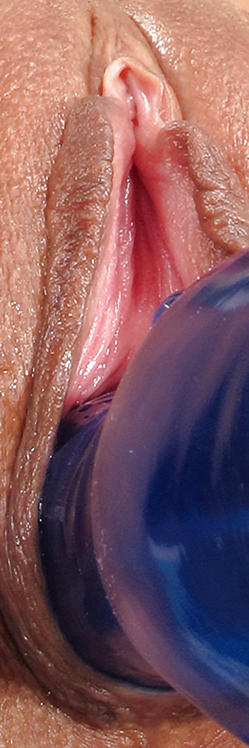 Süße Leckere Pussys Upclose #35498963