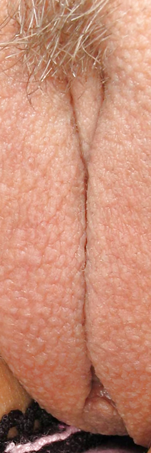 Süße Leckere Pussys Upclose #35498966