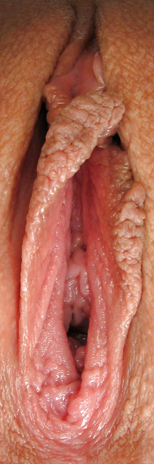 Süße Leckere Pussys Upclose #35498969