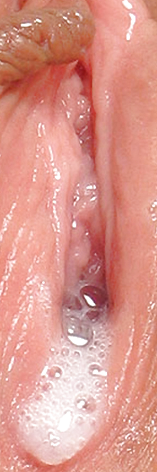 Süße Leckere Pussys Upclose #35498982