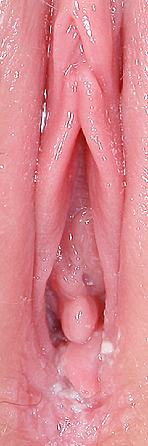 Süße Leckere Pussys Upclose #35498989