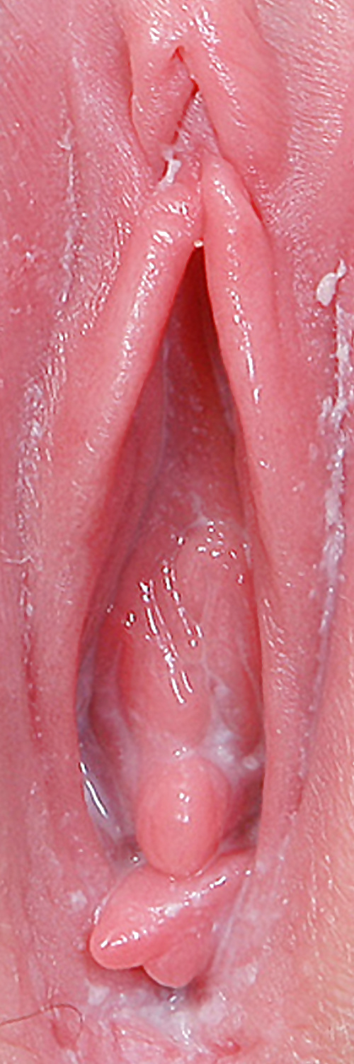 Süße Leckere Pussys Upclose #35498992