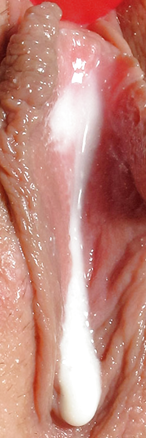 Süße Leckere Pussys Upclose #35499006