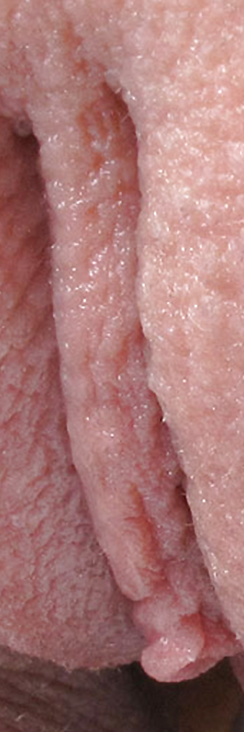 Süße Leckere Pussys Upclose #35499012