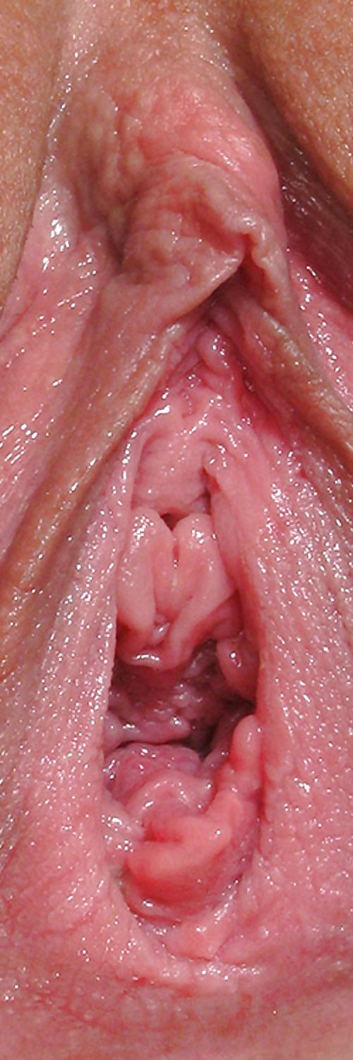 Süße Leckere Pussys Upclose #35499020