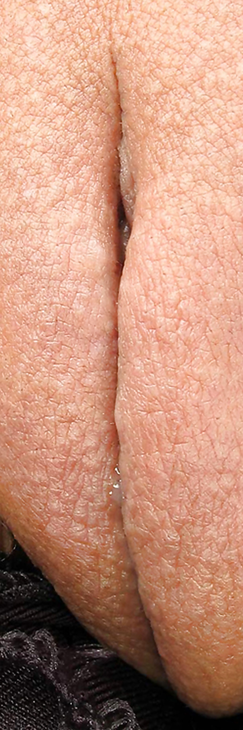 Süße Leckere Pussys Upclose #35499023