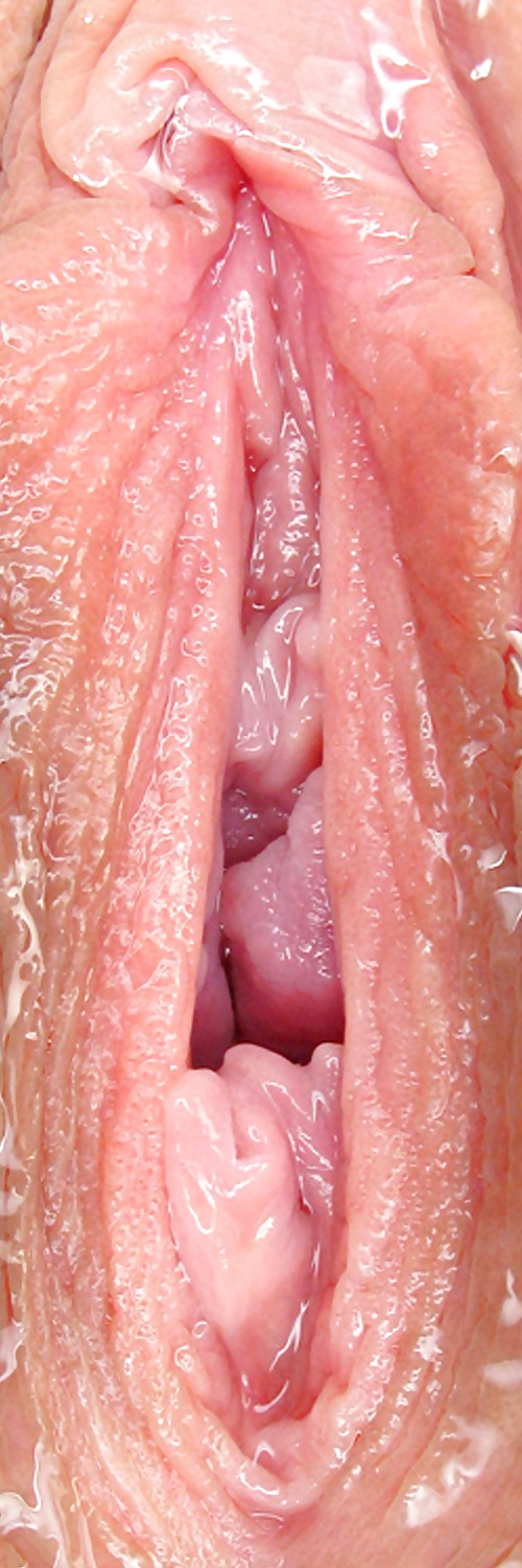 Süße Leckere Pussys Upclose #35499026