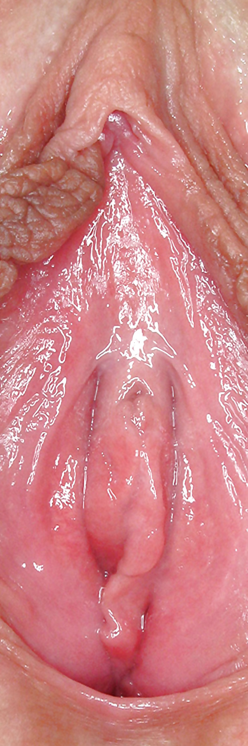 Süße Leckere Pussys Upclose #35499029