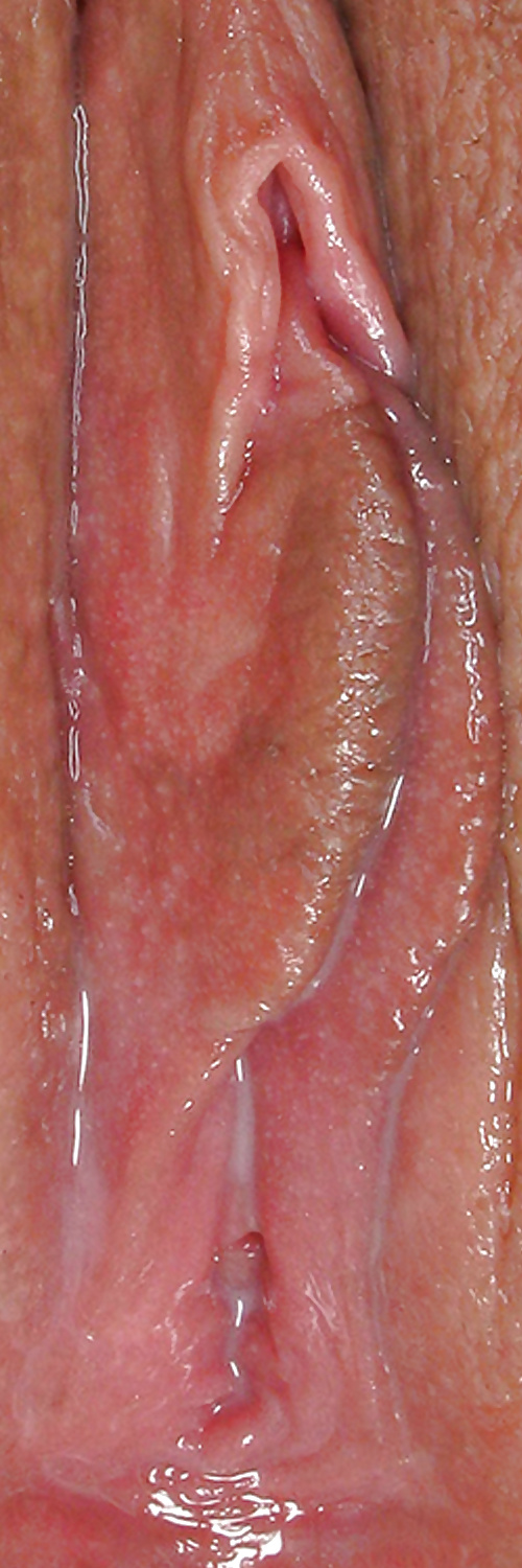 Süße Leckere Pussys Upclose #35499031