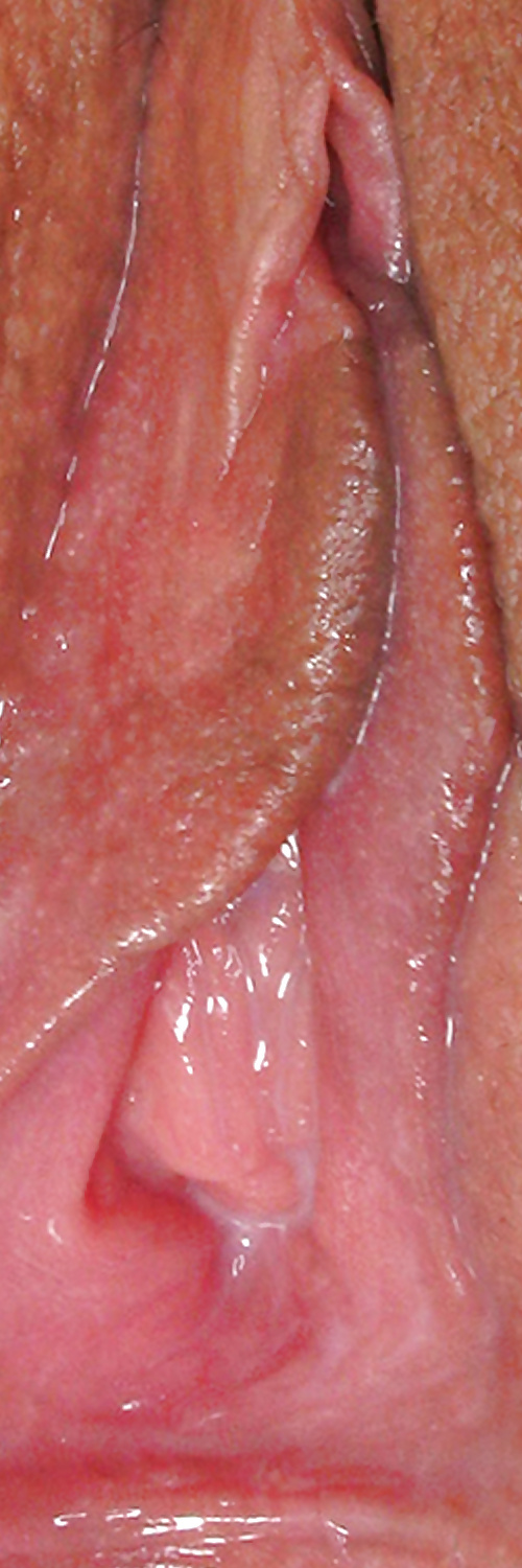 Süße Leckere Pussys Upclose #35499035