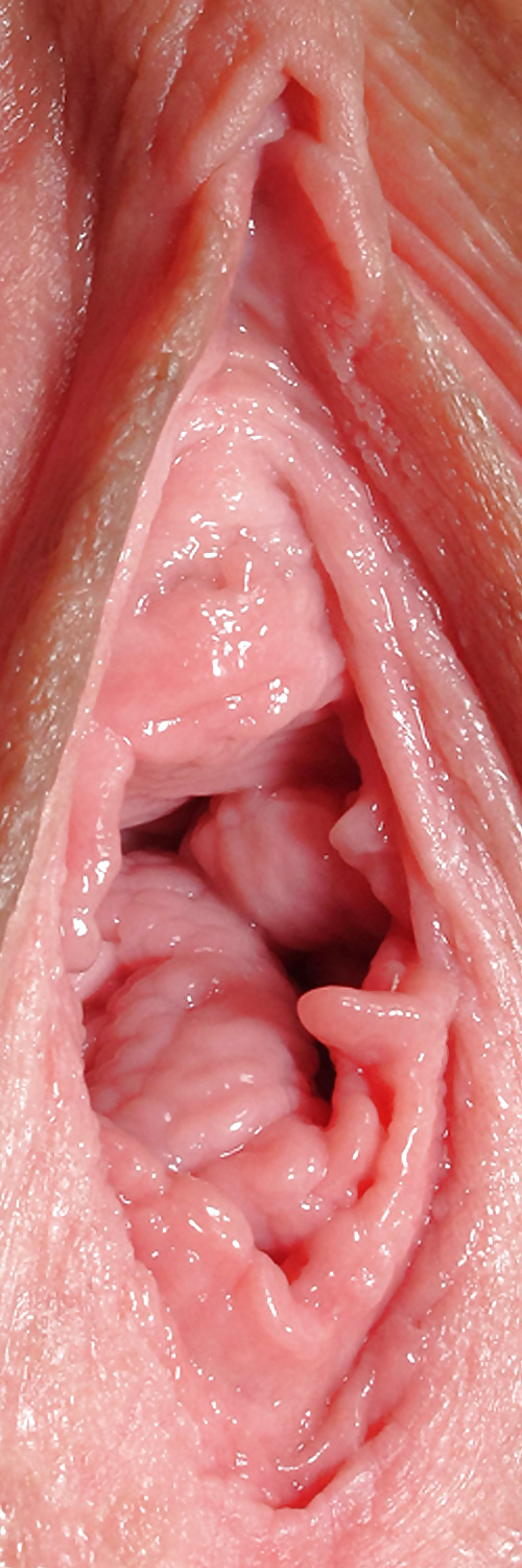 Süße Leckere Pussys Upclose #35499041