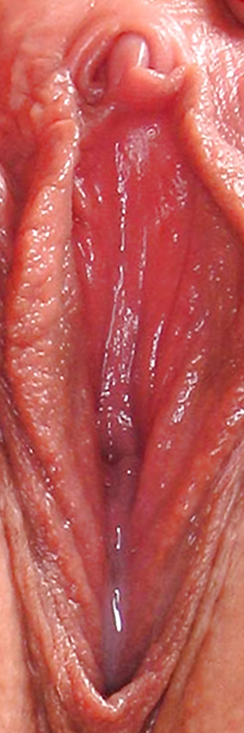 Süße Leckere Pussys Upclose #35499043