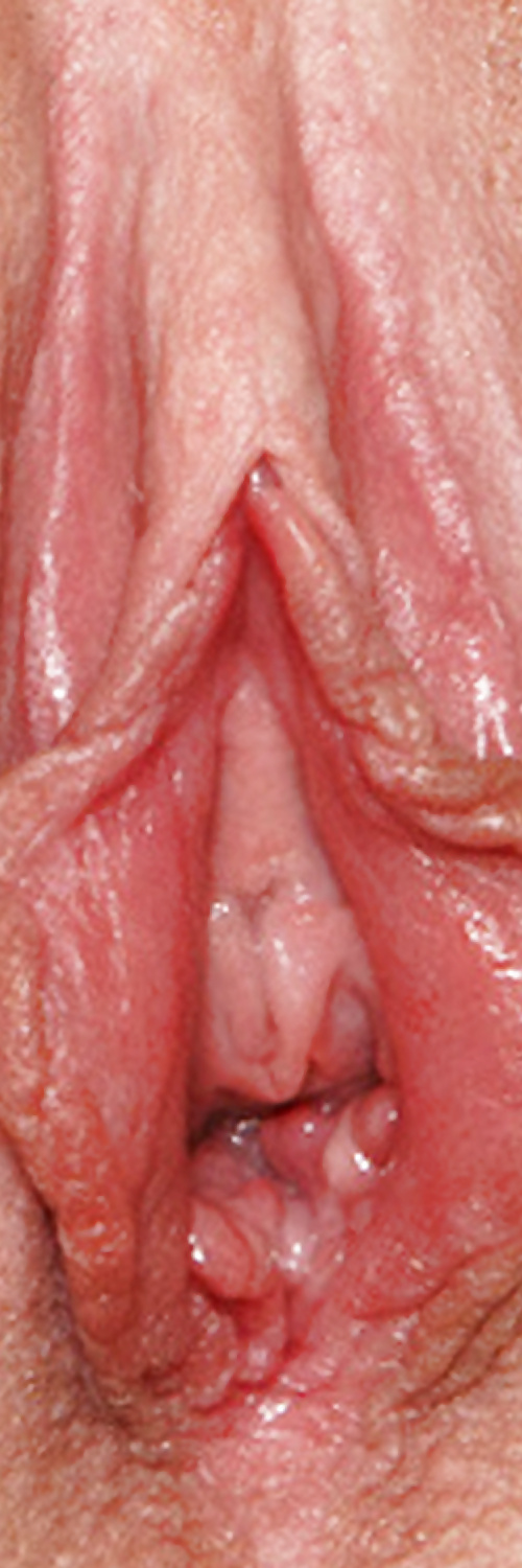 Sweet delicious pussys upclose #35499053