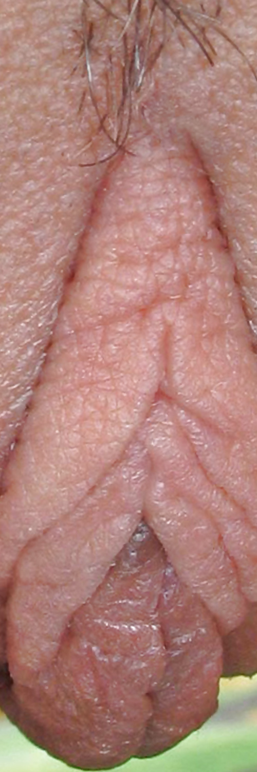 Süße Leckere Pussys Upclose #35499056