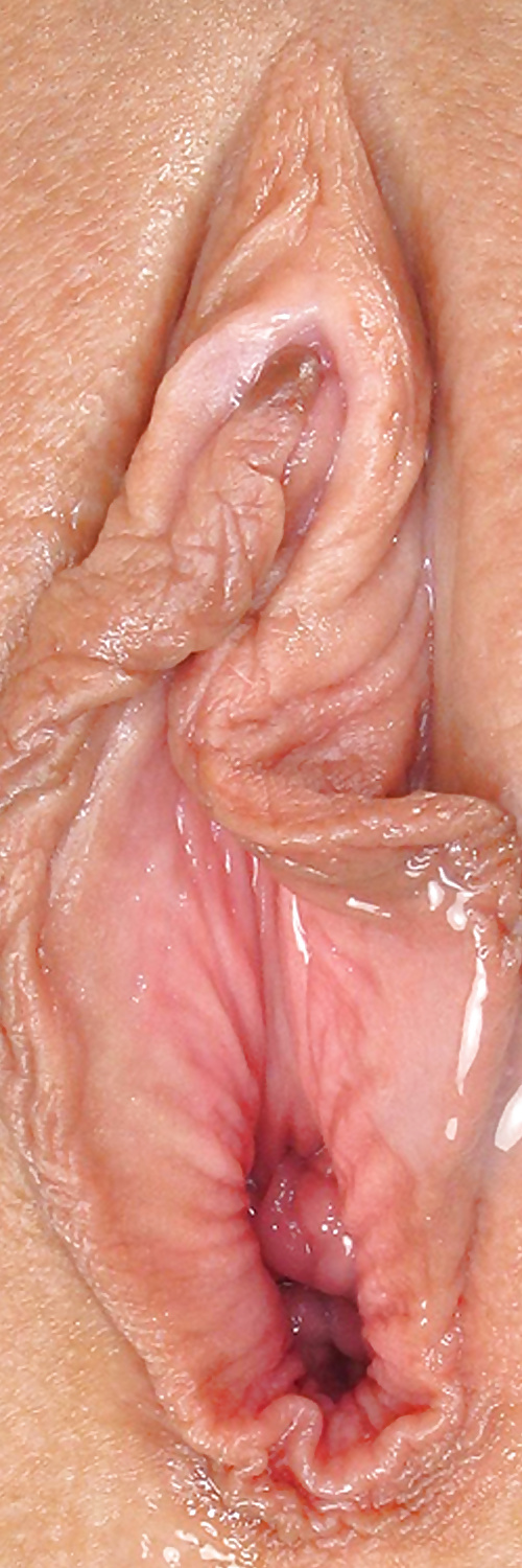 Süße Leckere Pussys Upclose #35499065