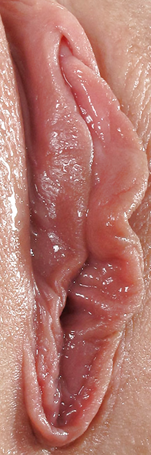 Süße Leckere Pussys Upclose #35499102