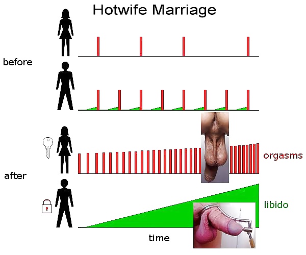 Hotwife misc
 #25684469