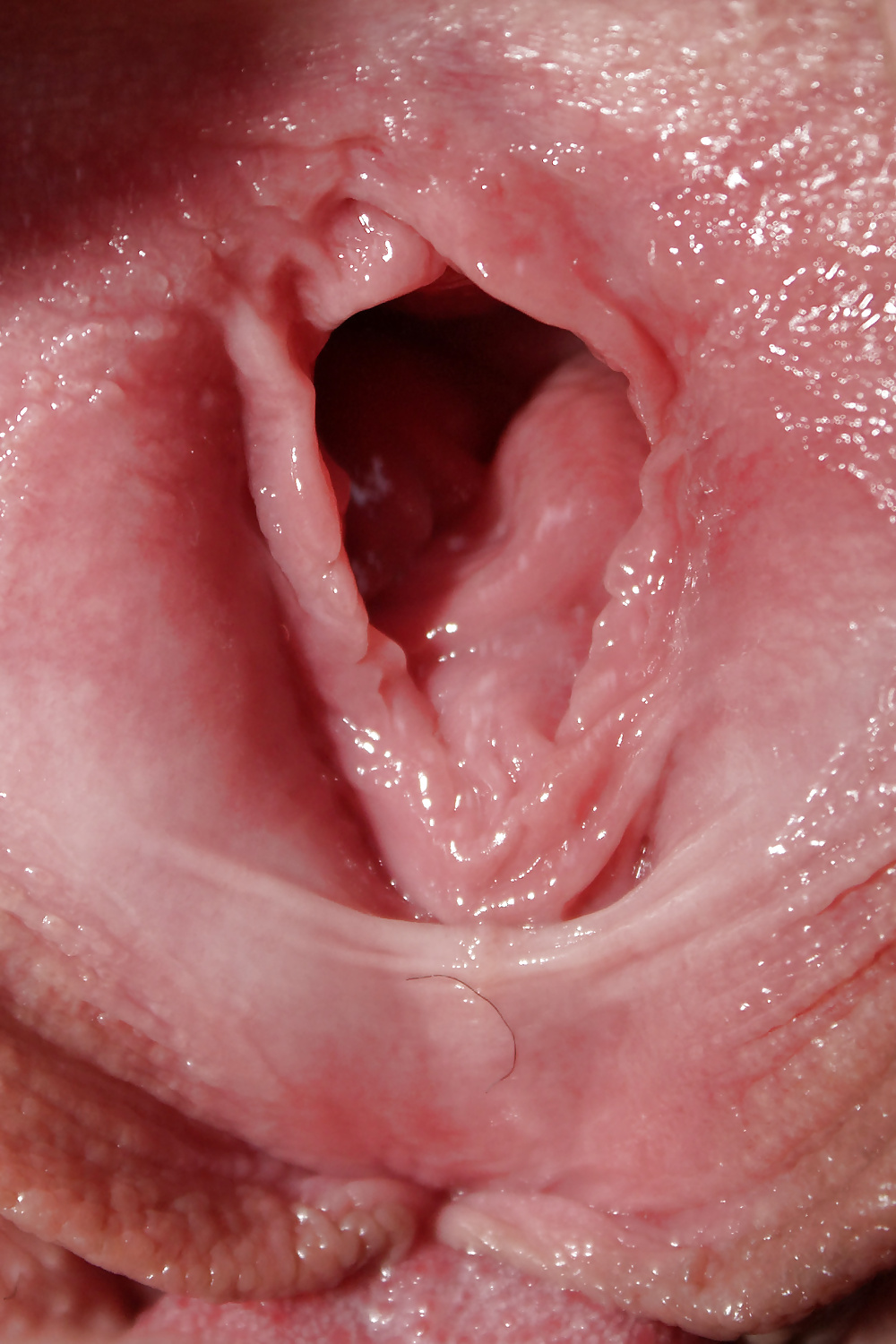 2. shooting vom 31.07.14 mit yuaandtidus
 #28165429