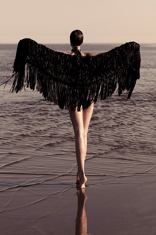 Black swan... #36921018